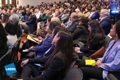 Crowd-Photos-22
