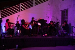 Musicians