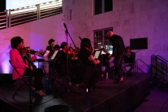 Musicians