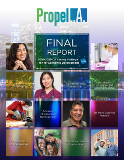 Propel L.A. Final Report